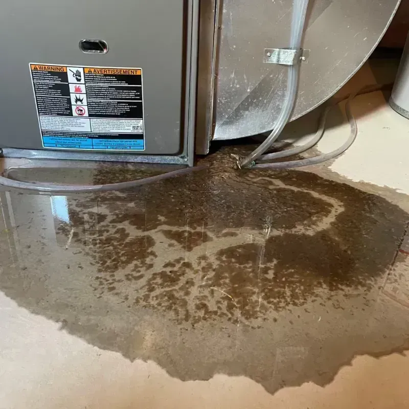 Appliance Leak Cleanup in Crestwood, IL